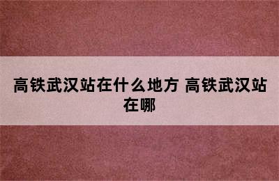 高铁武汉站在什么地方 高铁武汉站在哪